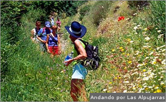 Walking in Las Alpujarras