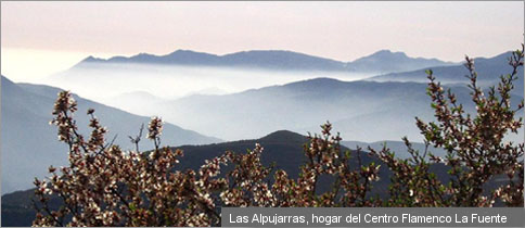 View of Las Alpujarras
